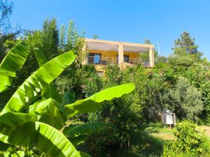 Κήπος έξω από το Cirali Sunny House
