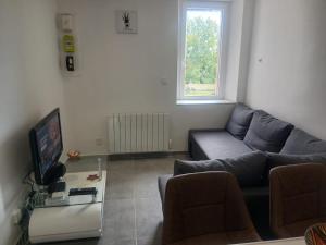 a living room with a couch and a tv at Mbine Senghore in Hérouville-Saint-Clair