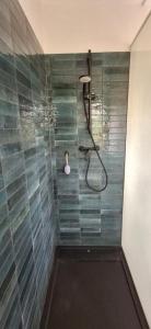 a bathroom with a shower with blue tiles at Nature lovers house izbeigts in Stacija Bērstele