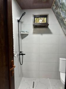 a bathroom with a shower and a toilet at Cozy Home Buknari in Buknari +19 photos