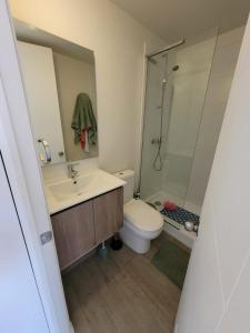 a bathroom with a sink and a toilet and a shower at Departamento completo 2 dormitorios 2 baños viña del mar in Viña del Mar +4 photos