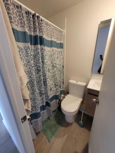 a bathroom with a toilet and a shower curtain at Departamento completo 2 dormitorios 2 baños viña del mar in Viña del Mar