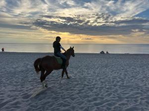 Hosté ubytování Natura Health Resort