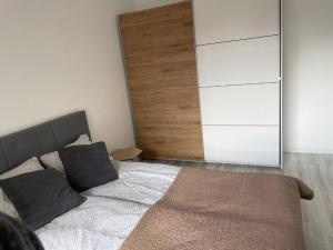a bedroom with a bed and a large closet at Apartamenty Platinum 4 in Gdańsk