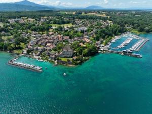 an aerial view of a harbor with boats in the water at Les Platanes in Yvoire