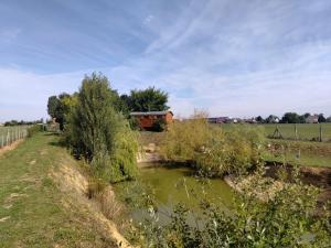 Gallery image of Charmante roulotte in Collonges-lès-Premières