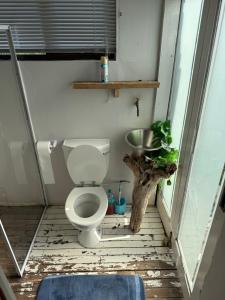 a small bathroom with a toilet and a sink at Blue Lagoon 4x4 Cottage in Umngazana +20 photos