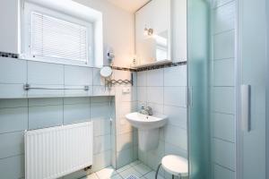 Ένα μπάνιο στο Apartmány "Duše hor" Stříbrnice +81 φωτογραφίες