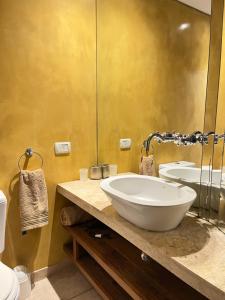 a bathroom with a large sink and a mirror at LOFT ALMAGRO in Buenos Aires +37 photos