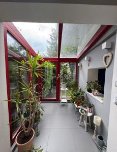 a room with a large window with plants in it at Prague Cozy Hideaway in Lysolaje +9 photos