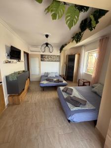 Ένα ή περισσότερα κρεβάτια σε δωμάτιο στο Sea paradise