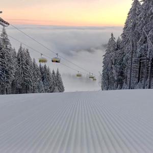 Gallery image of Apart Czarna Góra Resort Rowery, Spa, Narty, Góry in Sienna