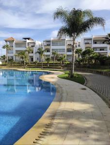 a palm tree next to a swimming pool at Apparemment asilah marina golf in Asilah