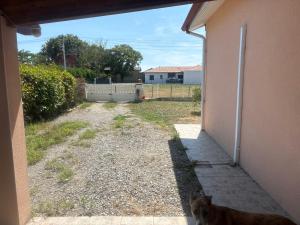 a dog sitting in the doorway of a house at Maison partager in Port-de-Lanne