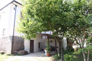 A garden outside La Masseria