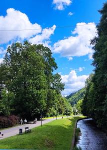 ein Park mit einem Fluss und Bäumen und einer Straße in der Unterkunft Szczyrkowska Ostoja in Szczyrk