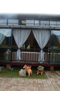 a building with curtains and pots in front of it at Mi casa amarilla in El Rosal