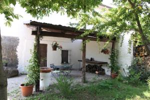 A garden outside La Masseria