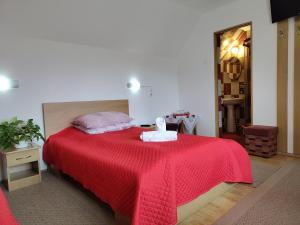 a bedroom with a bed with a red blanket at PENSIUNEA DORINA in Praid