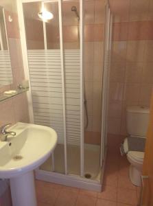 a bathroom with a shower and a sink and a toilet at Xenonas house 365 in Stavros