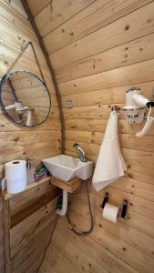 a bathroom with a sink in a wooden wall at Bungalows Tea Žabljak in Žabljak