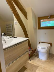 a bathroom with a toilet and a sink at Poulou Pyrénées in Gelos
