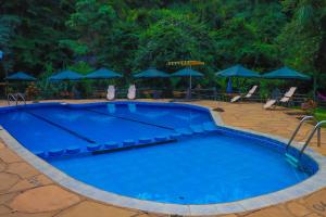 a large blue swimming pool with chairs and umbrellas at Hidden Treasure Lodge Chuka in Chuka