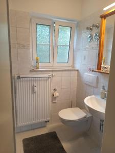 a white bathroom with a toilet and a sink at Ferienwohnung Finkenberg in Sebnitz +18 photos