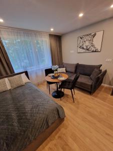 a bedroom with a bed and a couch and a table at Trumpalaikė buto nuoma Plungėje STUDIJA C in Plungė