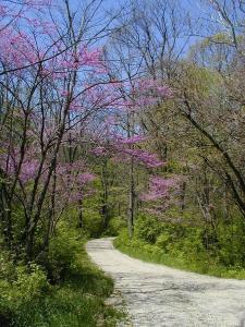 Příroda nedaleko penzionu