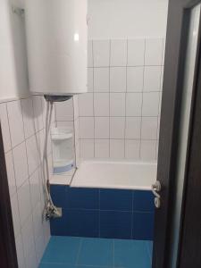 bagno con vasca e serbatoio d'acqua di Apartament Flacara a Arad
