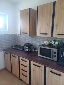 un bancone della cucina con forno a microonde sopra di Apartament Flacara a Arad