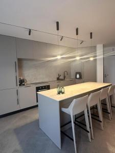 Kuchyň nebo kuchyňský kout v ubytování Apartment-AH- 39