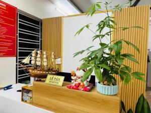 a plant sitting on top of a counter with a shelf at Opi Homestay in Làng Me