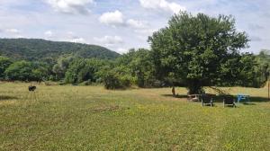 Gallery image of Levendula Apartman - Kereki in Kereki