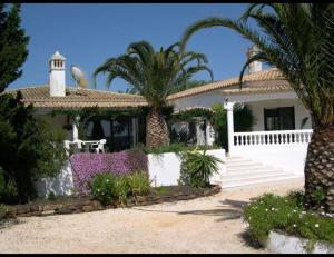 a white house with a palm tree and a porch at casa do lago in Monchique