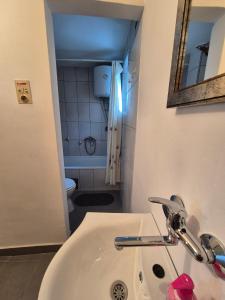 a bathroom with a sink and a toilet at Golden View Apartment in Sarajevo
