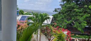 a garden with flowers and plants on a fence at By The Bay Oracabessa Queen Bedroom Suite in Oracabessa
