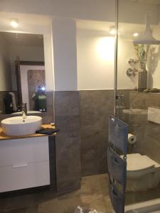 a bathroom with a sink and a toilet and a mirror at Ferienwohnungen beim Silbergersee in Oberaudorf +35 photos