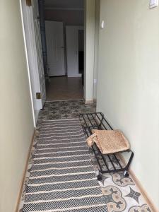 a hallway with a rug on the floor at The 7th Apartment in Cēsis