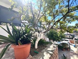 Fotografie z fotogalerie ubytování Duka Apartments Sarande v destinaci Sarandë + 76 fotografií