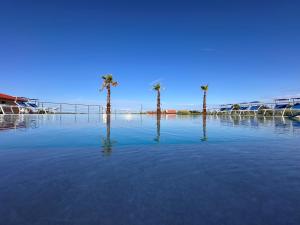 a pool of water with palm trees in the background at Viola Medulin in Medulin