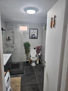 a bathroom with a toilet and a shower and a sink at Panda house by the sea in Qiryat Yam +9 photos