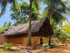 Mango Tree Homestay and Hostel 야외 정원