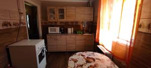 a small kitchen with a stove and a microwave at Fenyves Nyaraló in Hajdúszoboszló +5 photos