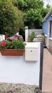 Zahrada ubytování La Entretenida