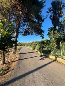 an empty road with trees on the side of it at camere Rosignoli in Assisi