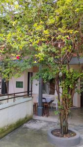 un arbre devant un bâtiment avec une table dans l'établissement Casa com amplo quintal, a paz ao lado do Centro, à Rio de Janeiro