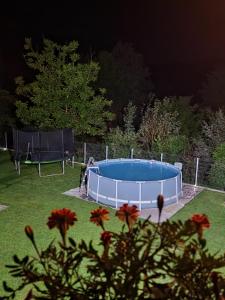 a swimming pool in a yard at night at Garden Spa Retezat in Fizeşti