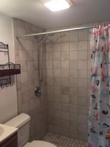a bathroom with a shower curtain and a toilet at 111-5 Glendon Beach Condo in Dennis Port